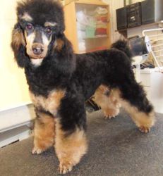 Winni6Mo 006